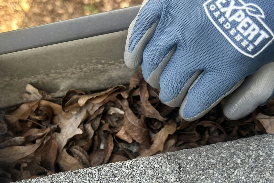 Gutter Cleaning Hope Mills